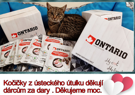 centrum pro zvířata v nouzi 11.11